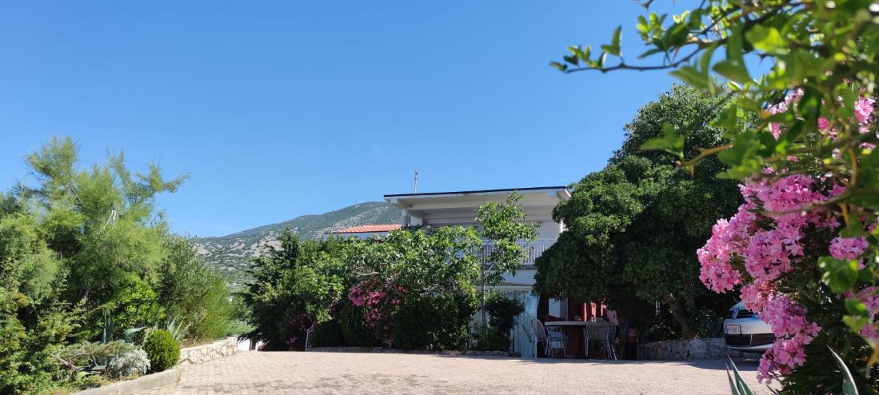 Resort Haus Toma เซซาริซา ภายนอก รูปภาพ