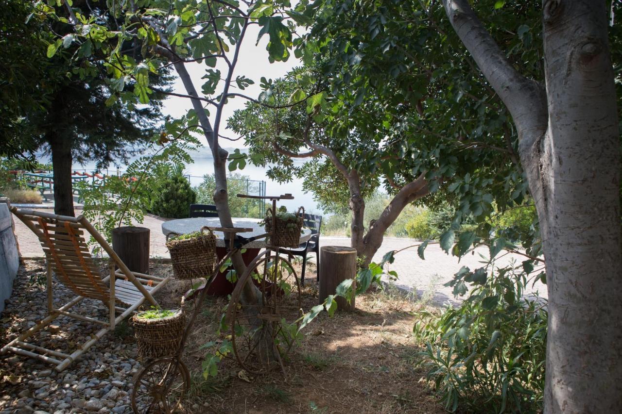 Resort Haus Toma เซซาริซา ภายนอก รูปภาพ